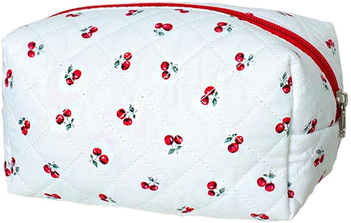 Dailygoods- Make-uptas Dames - Multifunctionele Reis-/Toilettas - Organizer voor Cosmetica - Draagbaar met Ritssluiting - Geschikt voor Meisjes - Ruimte voor Hygiëneartikelen