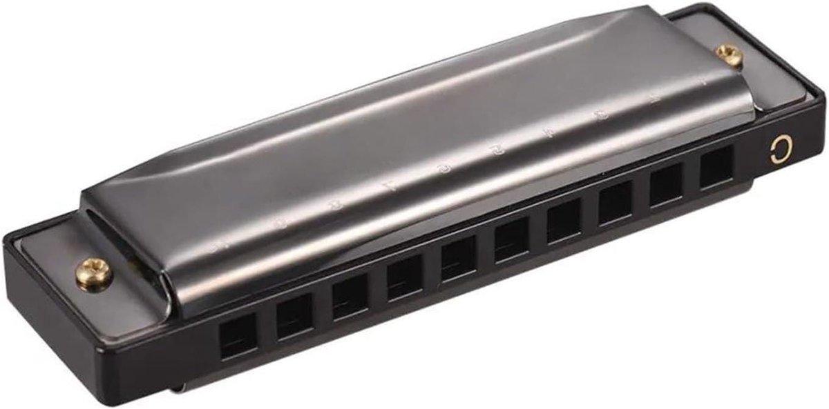 Diatonische Mondharmonica - Blues Harmonica - Muziek Maken - ABS Rieten - 10 Gaten - Zwart