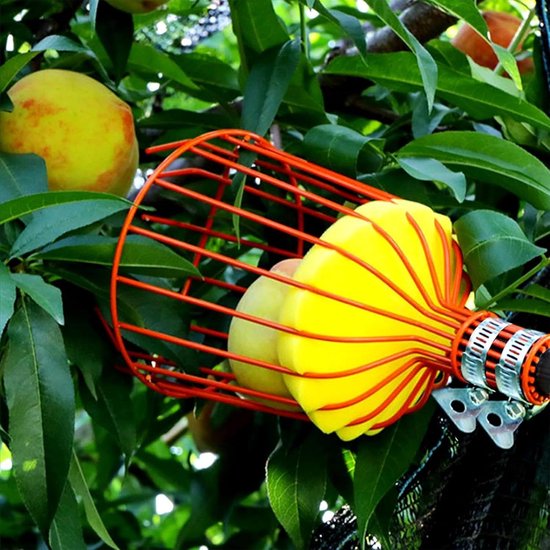 Fruitplukker met mand - Fruitgrijper stok - Fruit oogsten - Telescopische paal - Tot 3.2 meter - Blauw — afbeelding 2