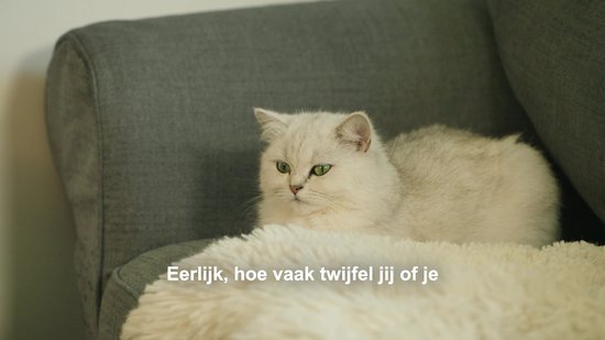 Viervoeter Feed - Automatische Voerbak 6L - Kat en Hond - Voerautomaat met App & Audio - Wit
