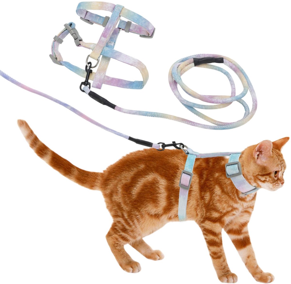 Dailygoods - Kat Tuigje en Lijn Set voor Grote en Kleine Katten