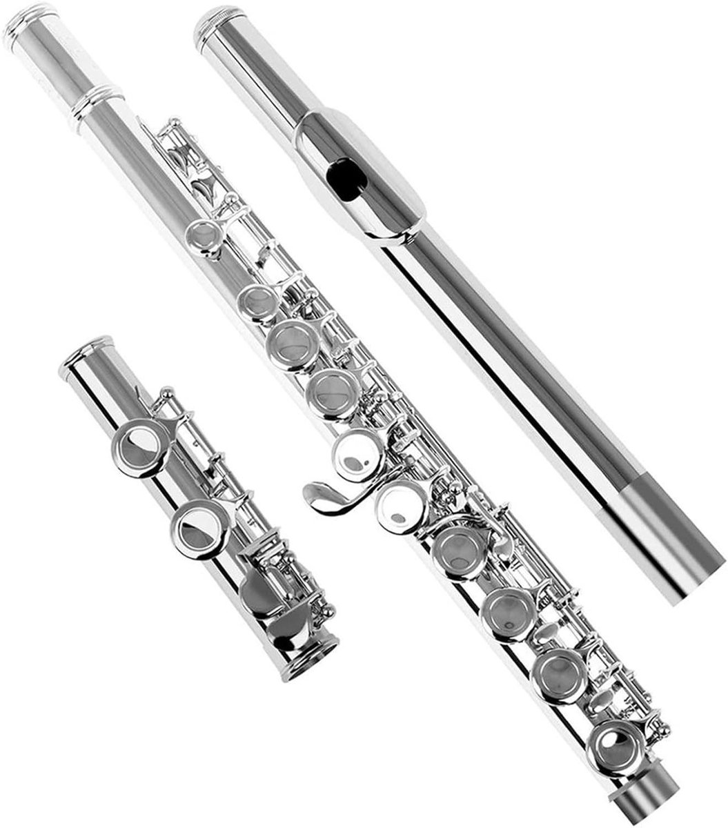 Dwarsfluit - Muziek Instrument - Muziek Leren - Offset G Split E - 16 Gaten - Zilverkleurig