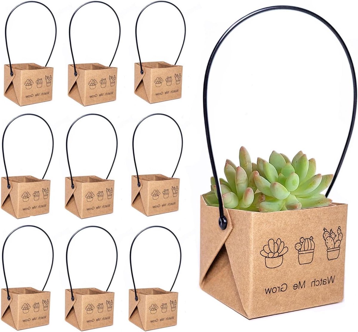 Mini Succulent Doosjes - Plant Verpakking - Cadeautjes Verpakken - Met 'Watch me Grow' Print