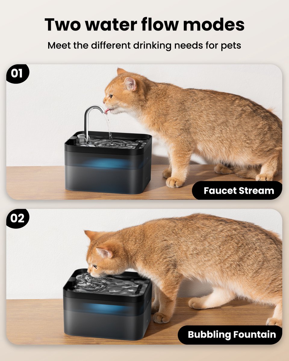 PawPoll Drinkfontein Kat en Hond - 2.2L Waterfontein - Kattenfontein - Incl filter en cleaning tool - Fluisterstil - Waterautomaat - Zwart thumbnail 4