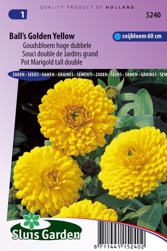 Sluis Garden - Goudsbloem Ball's Golden Yellow