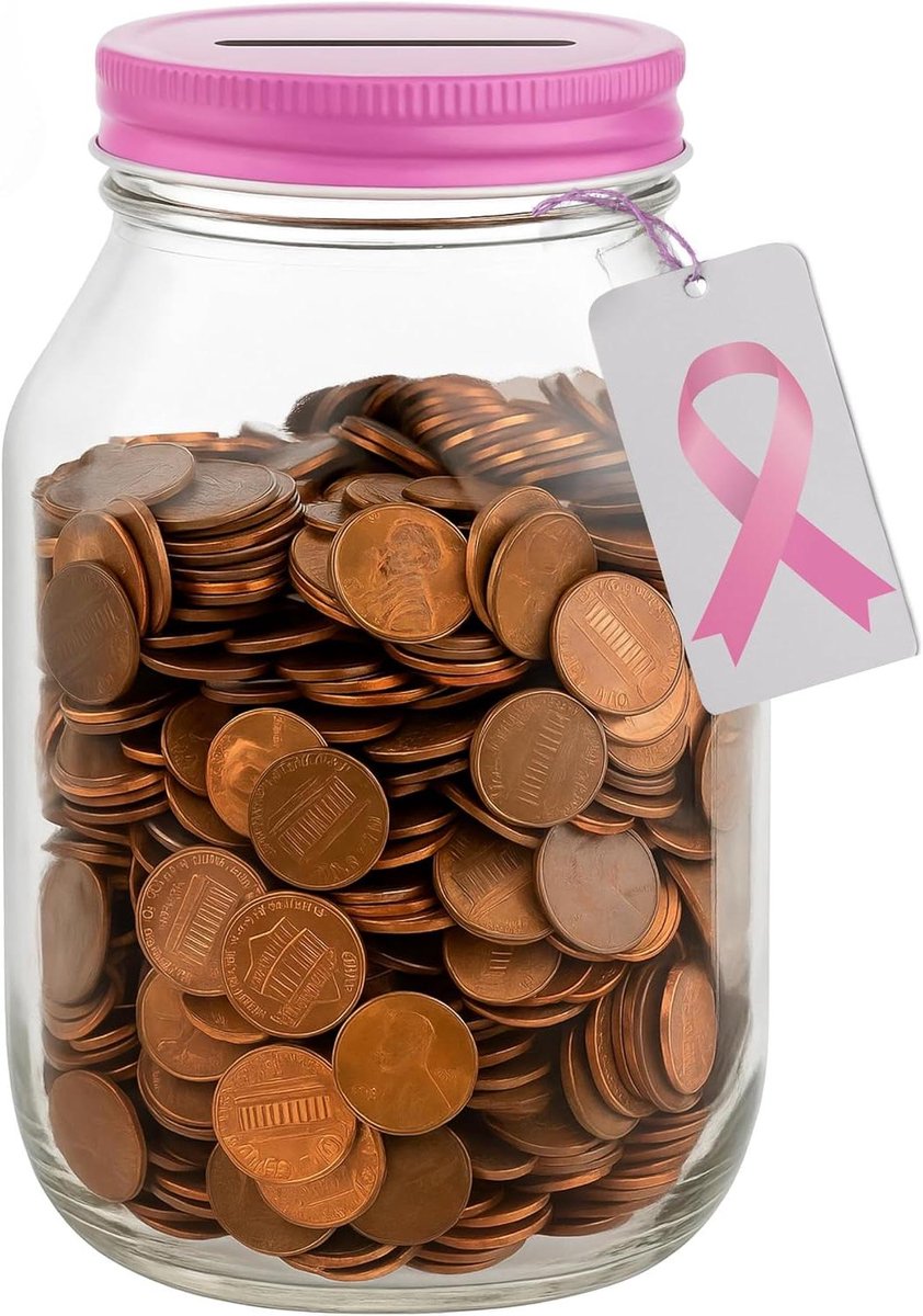 Grote Spaarpot - Munt Pot - Geld Sparen - Gemaakt in de VS - Houdt $350+ - Roze Deksel