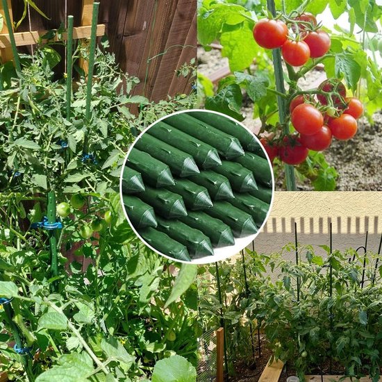 20 Stuks Groene Plantsteunen - Ondersteuningsstokken voor Tuinplanten, Bloemen en Groenten met Verbindingselementen van Merkloos — afbeelding 3