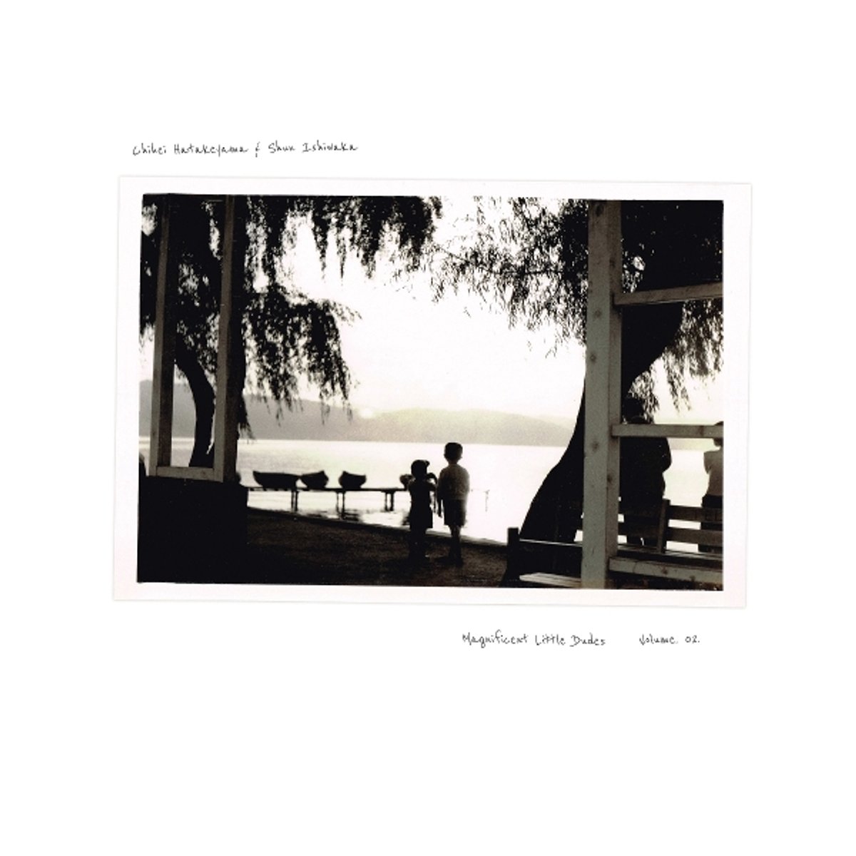 Hatakeyama, Chihei & Shun Ishiwaka - Magnificent Little Dudes Vol. 2 (LP)