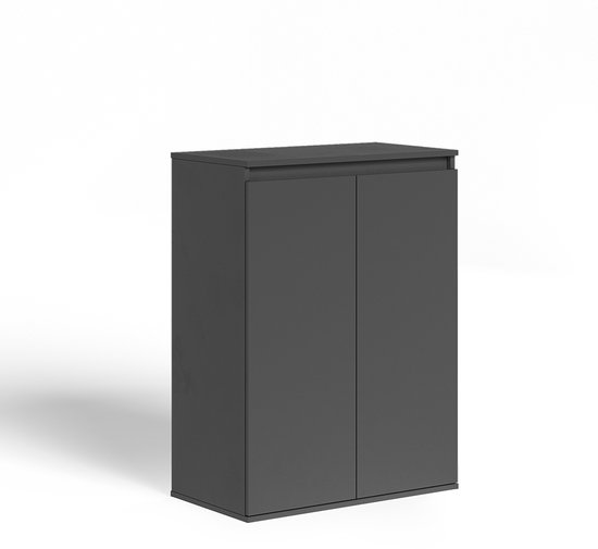 Antracietkleurige kast met twee deuren, staand op een witte achtergrond.