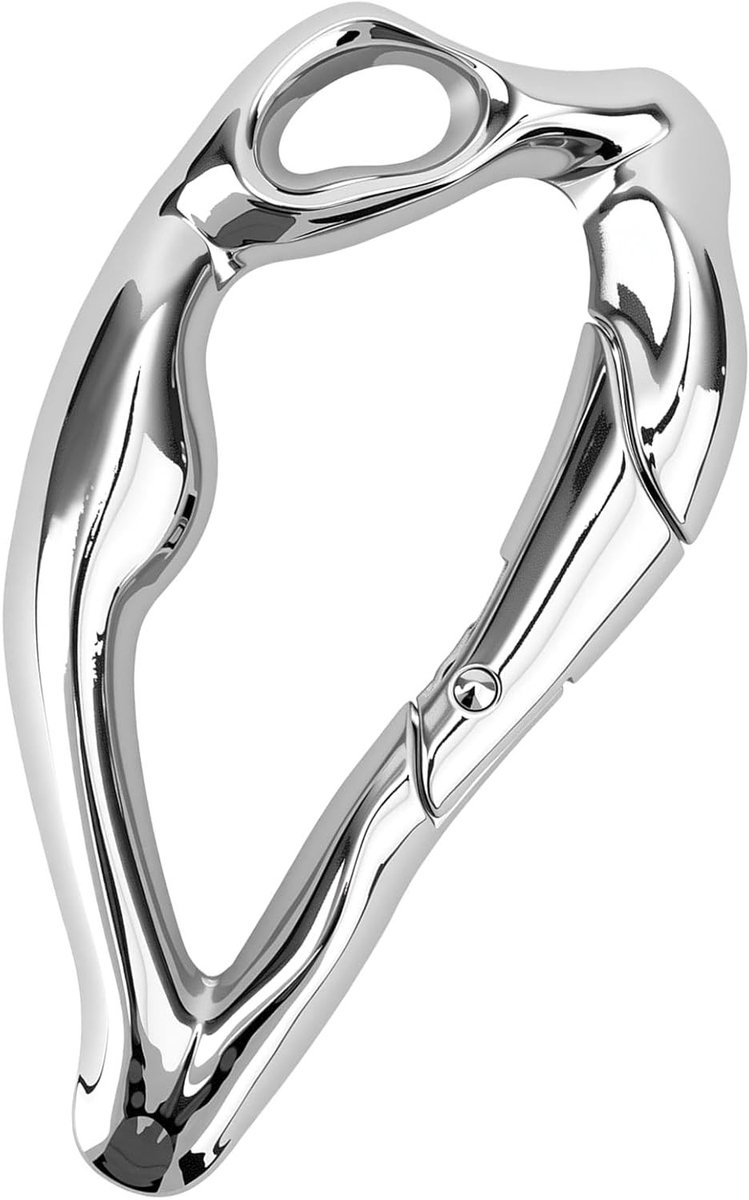 Stijlvolle Zilveren Sleutelhanger Clips, Robuuste Metalen Carabiner voor Tas en Portemonnee Decoratie, Perfect voor Outdoor en Avontuur