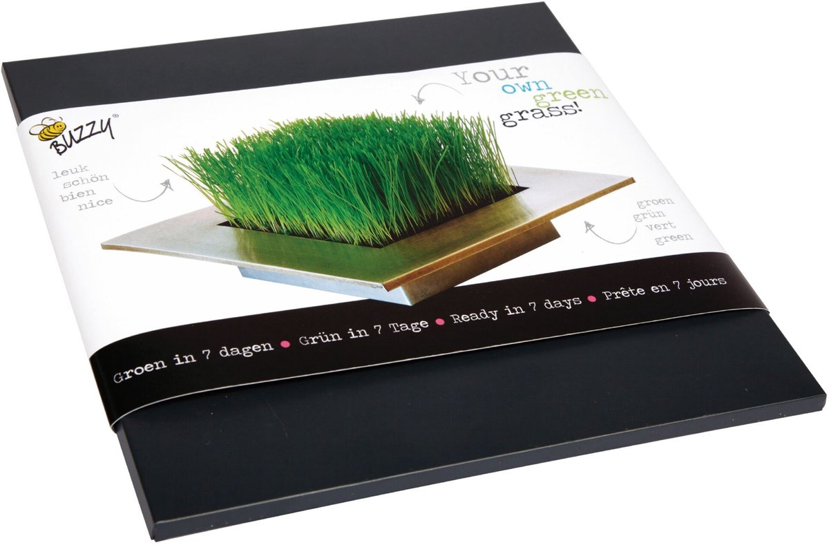Buzzy Bloemzaad Buzzy® Trendy Gras Zinken Tray