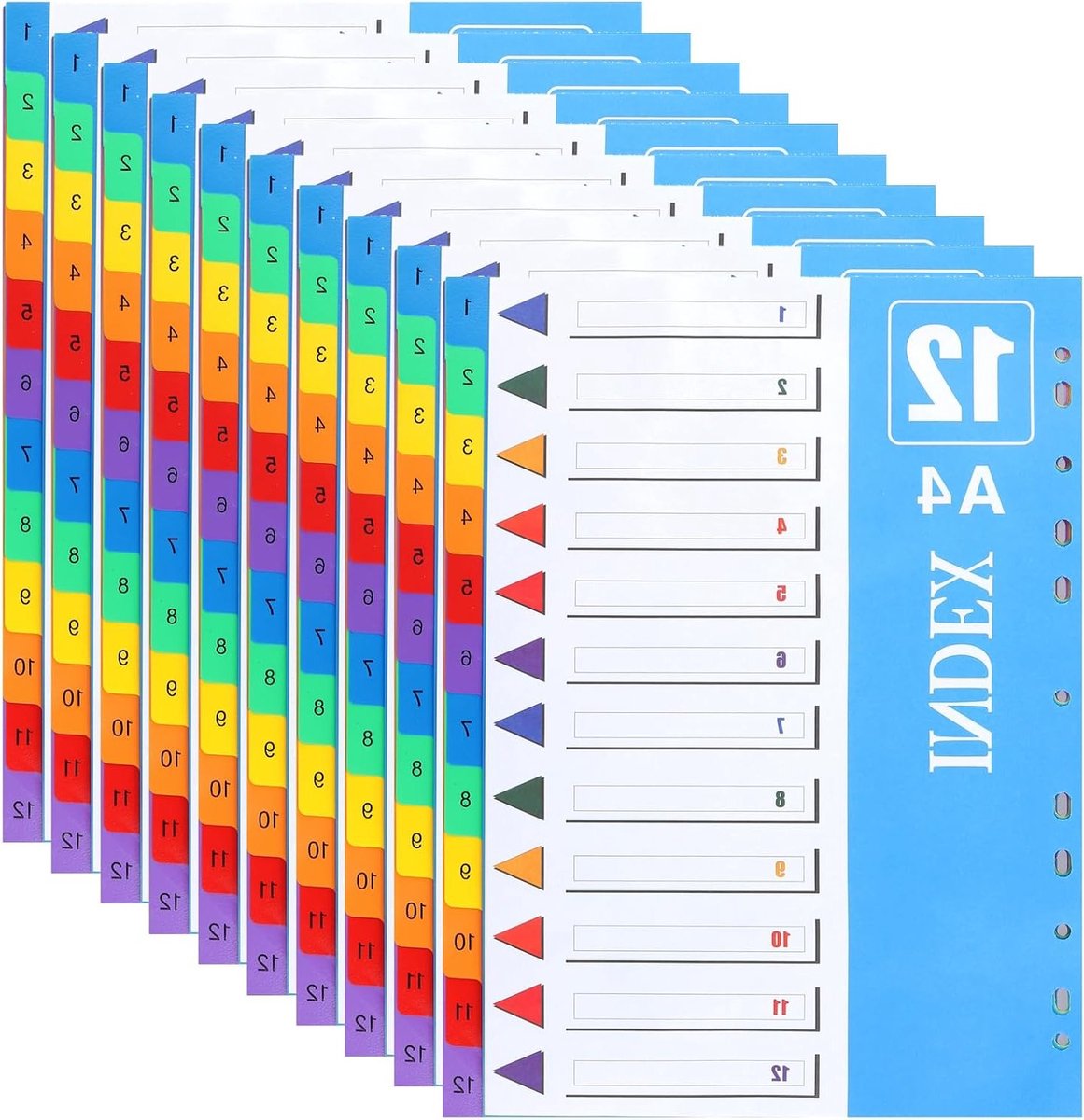 Set van 20 A4 Scheidingsbladen met 12 Genummerde Indexen, Kleurrijke Plastic Dividers voor Mappen en Ringbanden, Ideaal voor School en Kantoororganisatie, 29.7 x 22.5 cm, Perfect voor Documentbeheer en Archivering