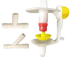 Vogel Drinkfontein - Vogel Drinkautomaat - Vogels Hydrateren - Automatische Watercirculatie - 10 cm - Wit