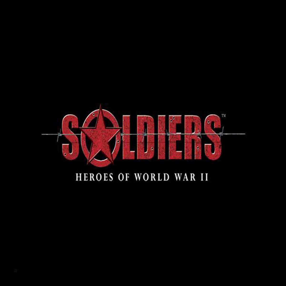 Soldiers Heroes of World War 2