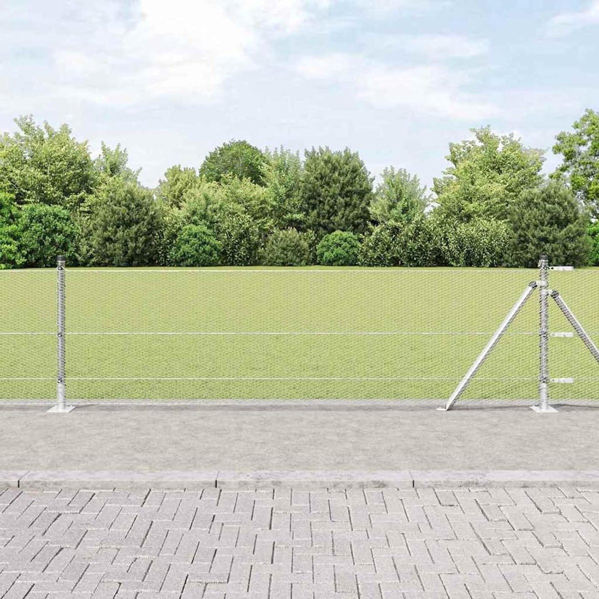 Zeskanthek set - Tuinomheining palen - Tuin afschermen - Verzinkt staal - 06 x 10 m - Zilver