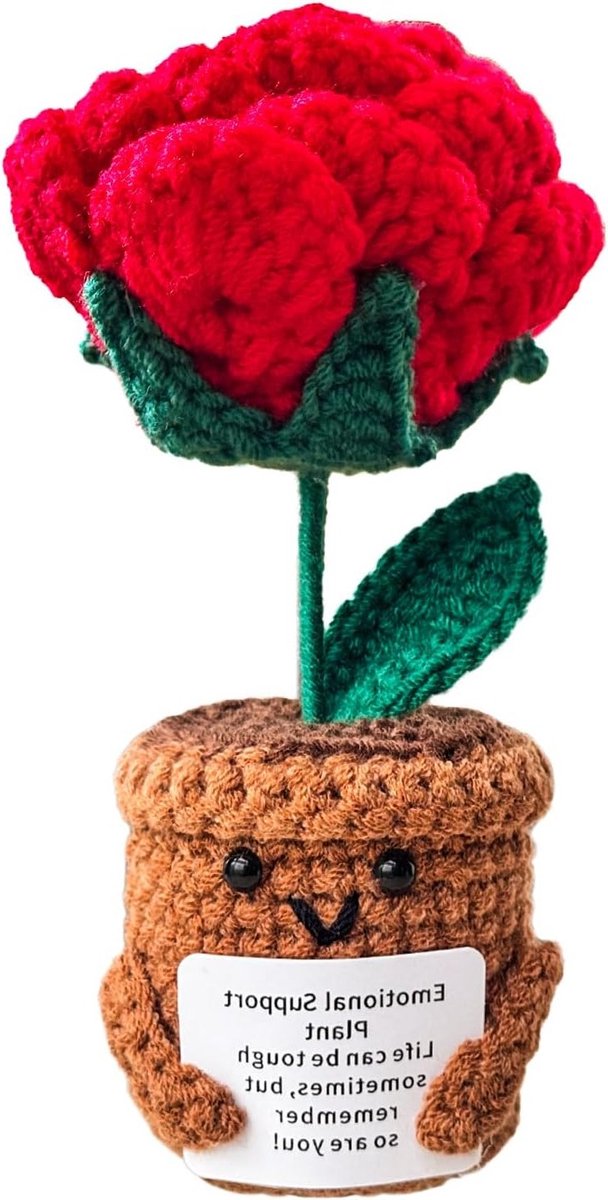 Cadeaus voor Vrouwen en Mannen: Unieke Rozen Geschenken voor Elke Gelegenheid