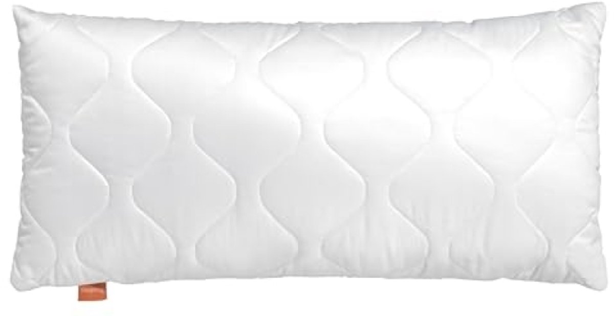 Basic 100 Hoofdkussen met Ritssluiting, 35 x 55 cm, Wit - Hypoallergeen & Wasbaar tot 60°C