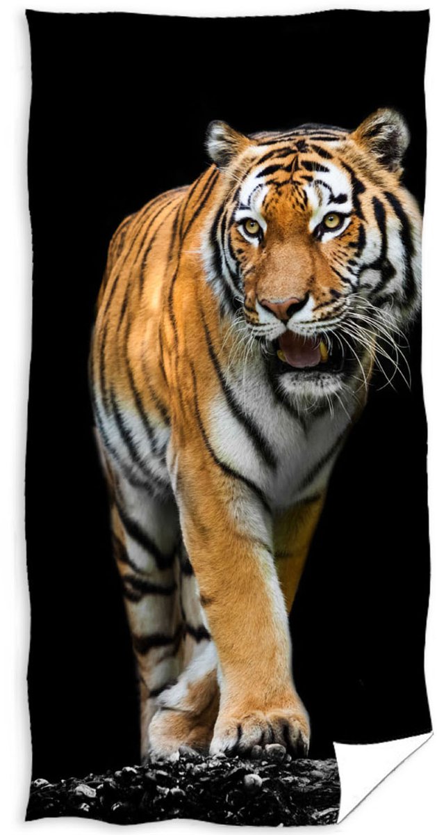 Animal Pictures Strandlaken, Tijger - 70 x 140 cm - Katoen