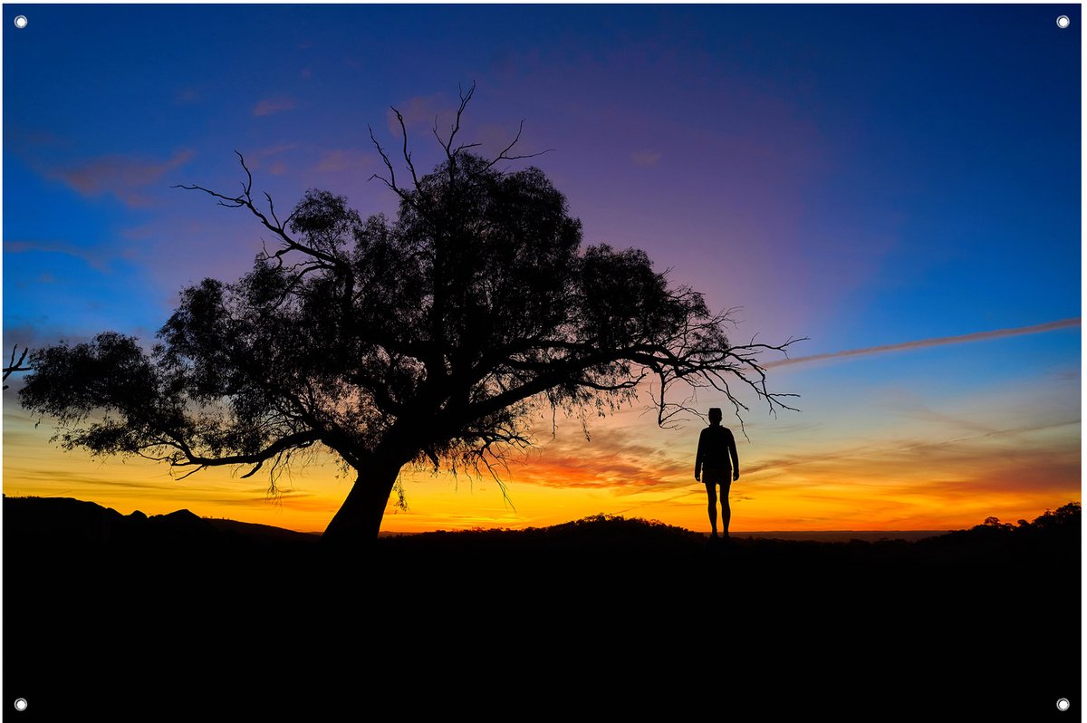 Zonsondergang Silhouet Boom - Tuinposter - Tuindoek - 90x60 cm - Buitenposter - Schuttingdoek - Tuinschilderij voor Buiten