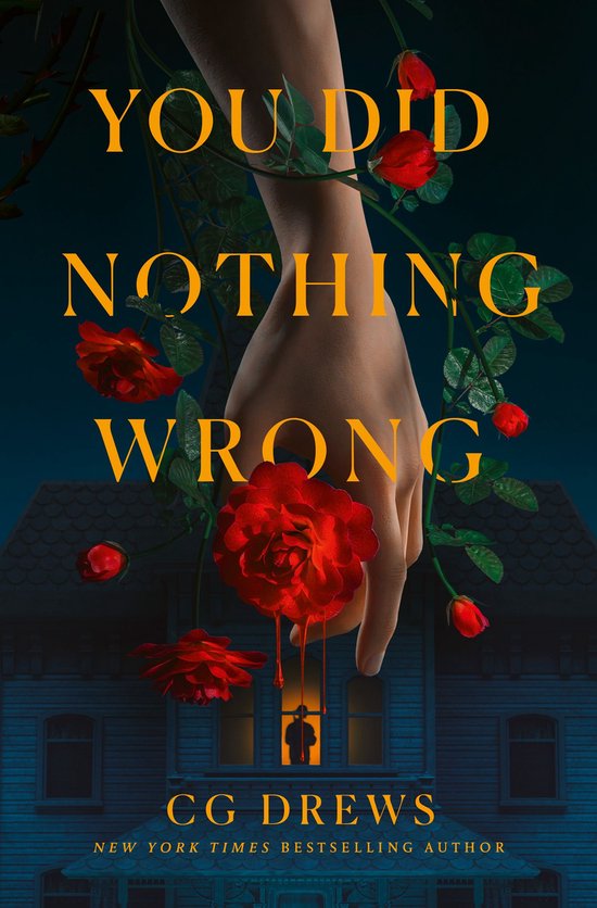 You Did Nothing Wrong - cover