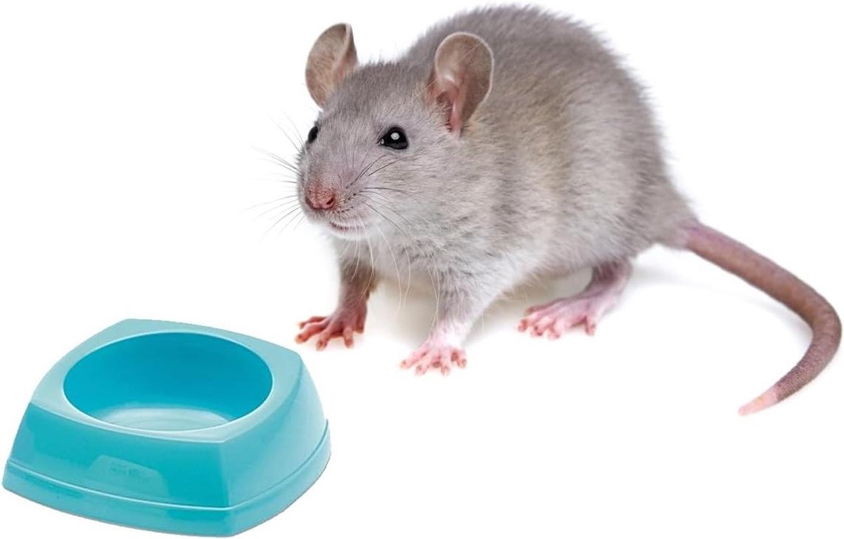Hamsterkom - Voerbakje - Voeding geven - Hamerstructuur - 8 cm - Grijs