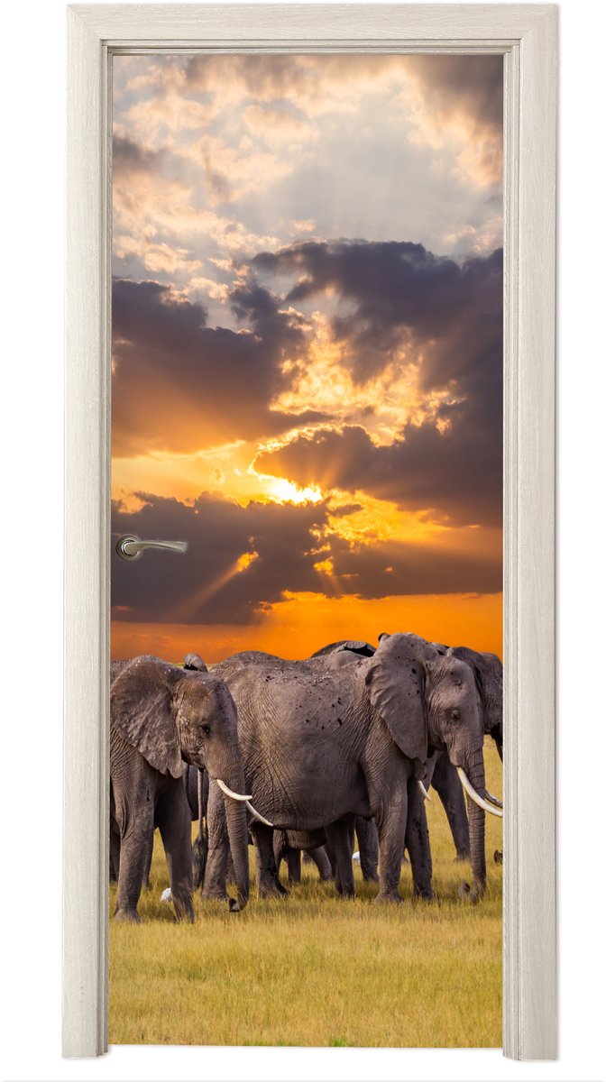 Deurposter 85x215 cm - Deursticker Olifant - Dieren - Gras - Zonsondergang - Natuur - Meub