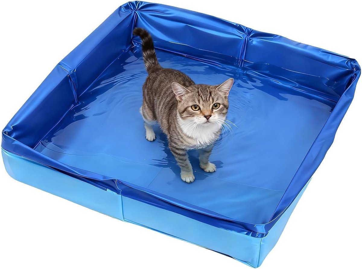 Vouwbare Paddelbad voor Honden en Katten, Ideaal voor Kleine Honden en Kittens, 50 x 50 x 10 cm, Geschikt voor Zomerplezier en Verkoeling