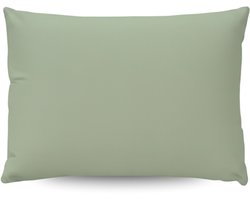 Zelesta Pure Uni Katoen Kussensloop Set van 2 - Natural Green 80x80cm