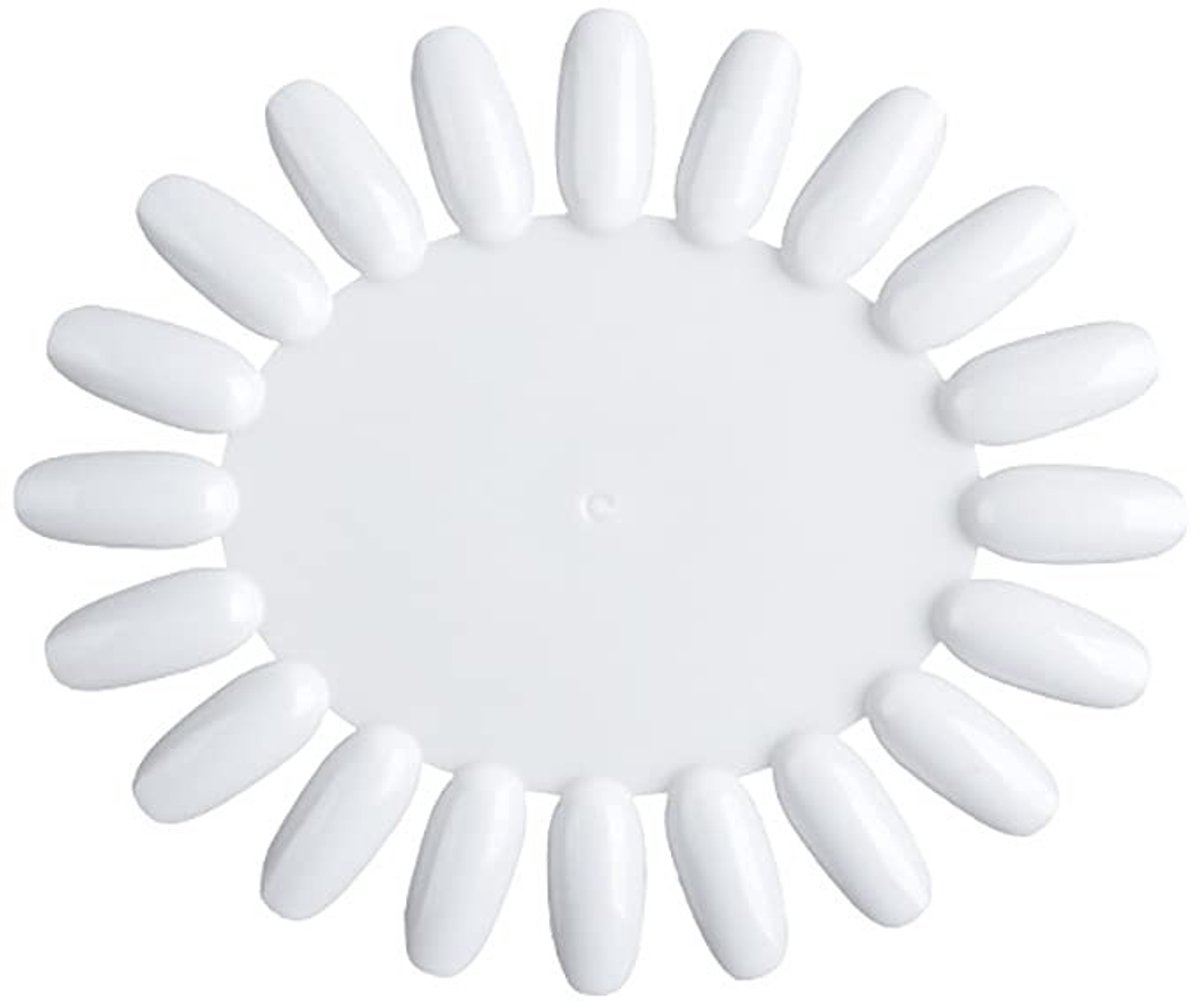 Dailygoods- Nagellak Kleurenkaart 10-delig - Natuurlijke Nageltips - Steekproef Testerwiel - Duurzaam - Milieuvriendelijk - Voor Thuis Salon