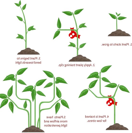 60 stuks plantentrainingsclips voor klimplanten, muurclips voor kamerplanten, tuinclips voor optimale ondersteuning en groei — afbeelding 3