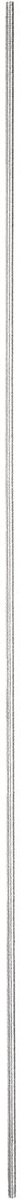 Dailygoods- Roestvrijstalen Staaf 304 - Schroefdraad - Klinknagels - Hangers/U-bouten - M2x250mm - Zilver