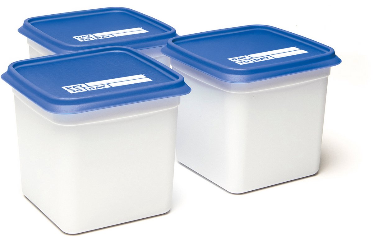 Day To Day - Alaska Diepvriesdozen - 3x 1200 ml - Diepvries Vershoudbakjes - Stapelbare Bewaarbakjes - BPA-vrije Bewaardozen - Vaatwasbestendig & Microgolfoven veilige Vershouddozen - Gemaakt in België