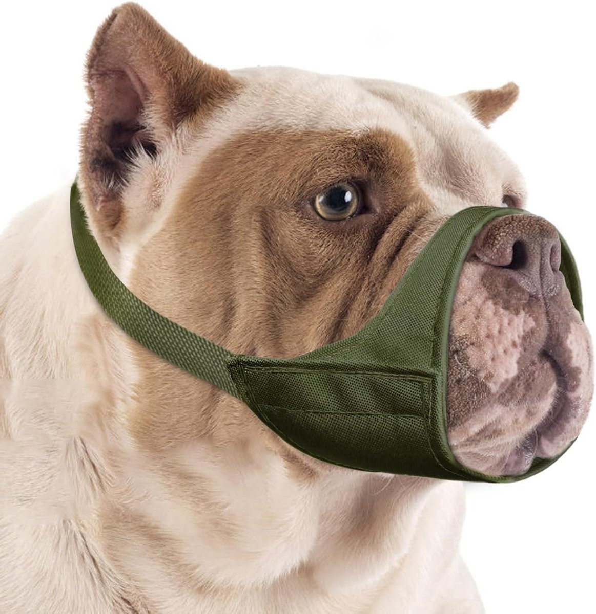 Honden Muilkorf - Hondenbeker - Grooming en Bezoek - Ademen Drinken Eten - M Medium Snuit - Groen
