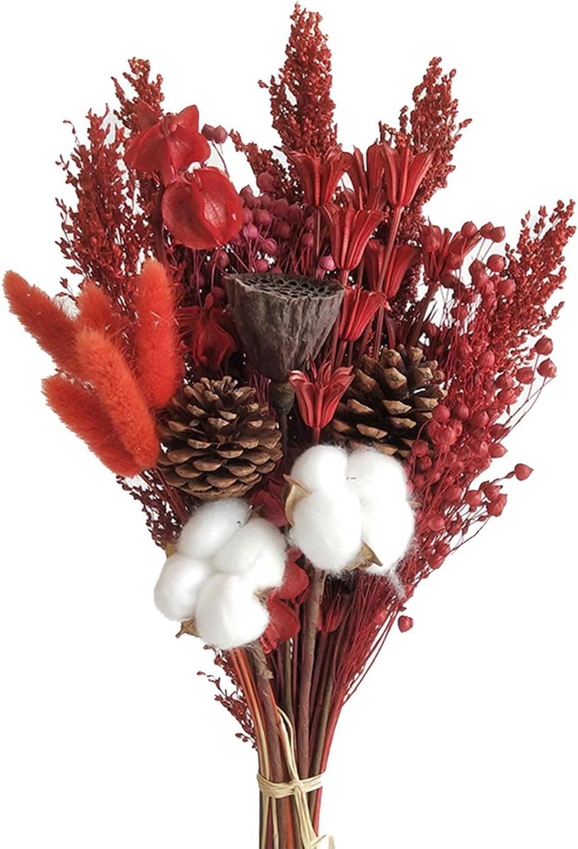 Gedroogd Bloemenboeket Mixboeket, 21,6 Inch Gedroogde Lavendelbloemen en Billy Balls Gedroogde Pampas Bunny Tails Katoenen Stam Gras Decor Tafelmiddenstukken voor (C)