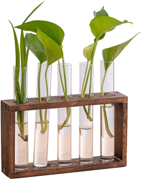 Reageerbuis Vaas - Bloemenvaas Stekjesbak - Hydrocultuur Planten - Houten Standaard -...