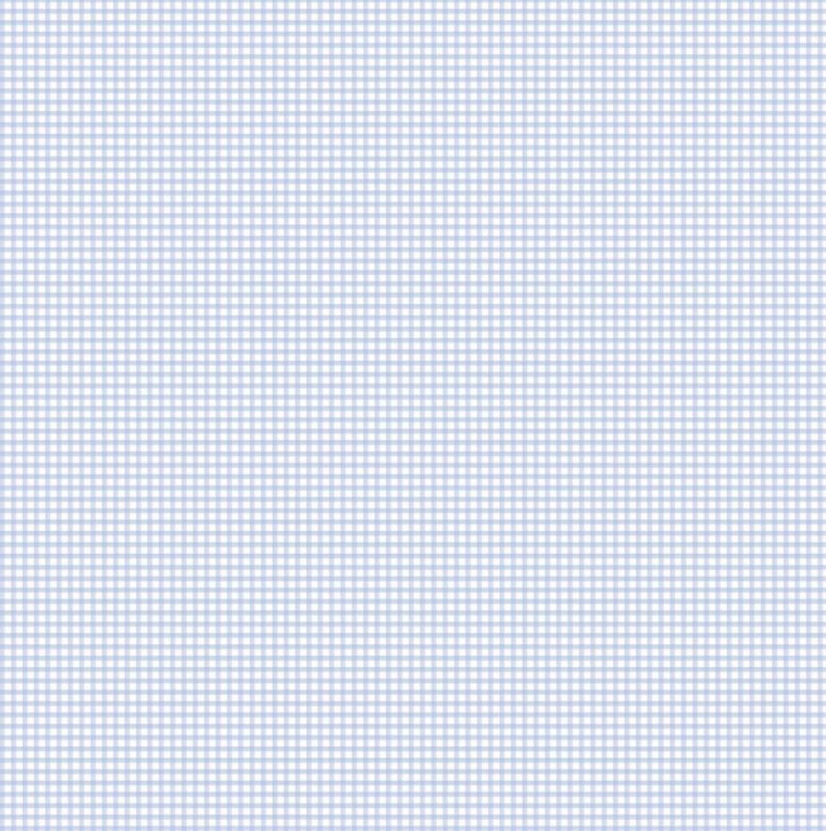 Behang – Vichy Behang – Klein Ruitje – Lichtblauw Wit – Scandinavisch – Babykamer Behang Jongens – Kinderkamer – Smalle Ruit – 0,53 x 10,05 M – Miniatures 2