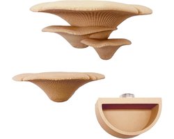 Springspin Terrarium - Magnetische Houder - Natuurlijke Decoratie - Uniek Paddenstoeldesign - Compact Draagbaar