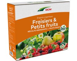 DCM AARDBEIEN/KLEINFRUIT 3KG