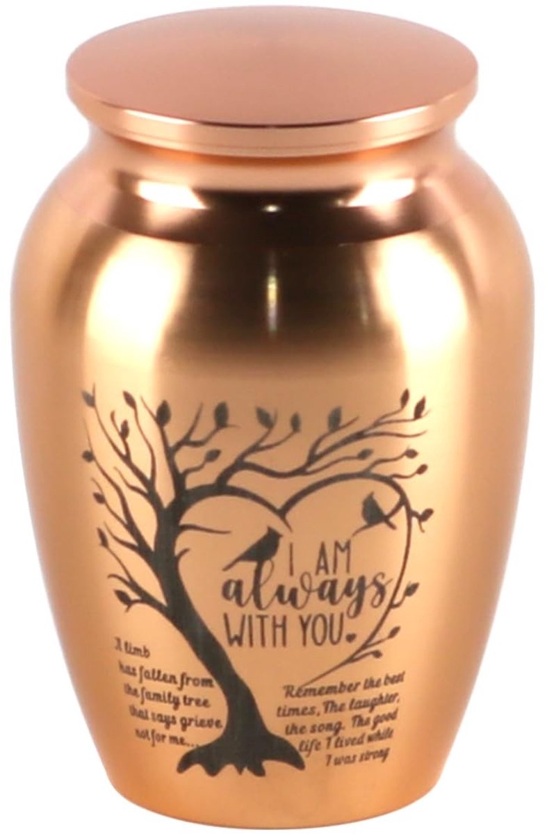 Dailygoody - Kleine urn voor huisdieren - Mini-urnen voor asherdenking - Aluminiumlegering - 4,5 cm - Herinnering - Geschikt voor dieren - Effen