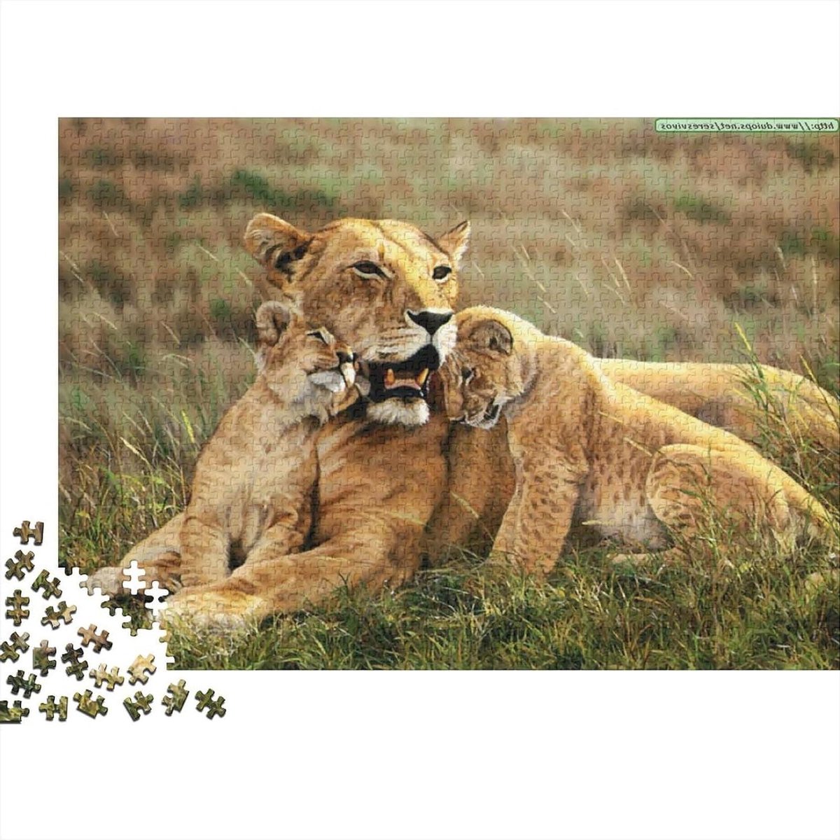 Gepersonaliseerde Puzzel - Eigen Afbeelding - Ontspanning Thuis - Unieke Stukjes - 1000 Stukjes - Meerdere Kleuren