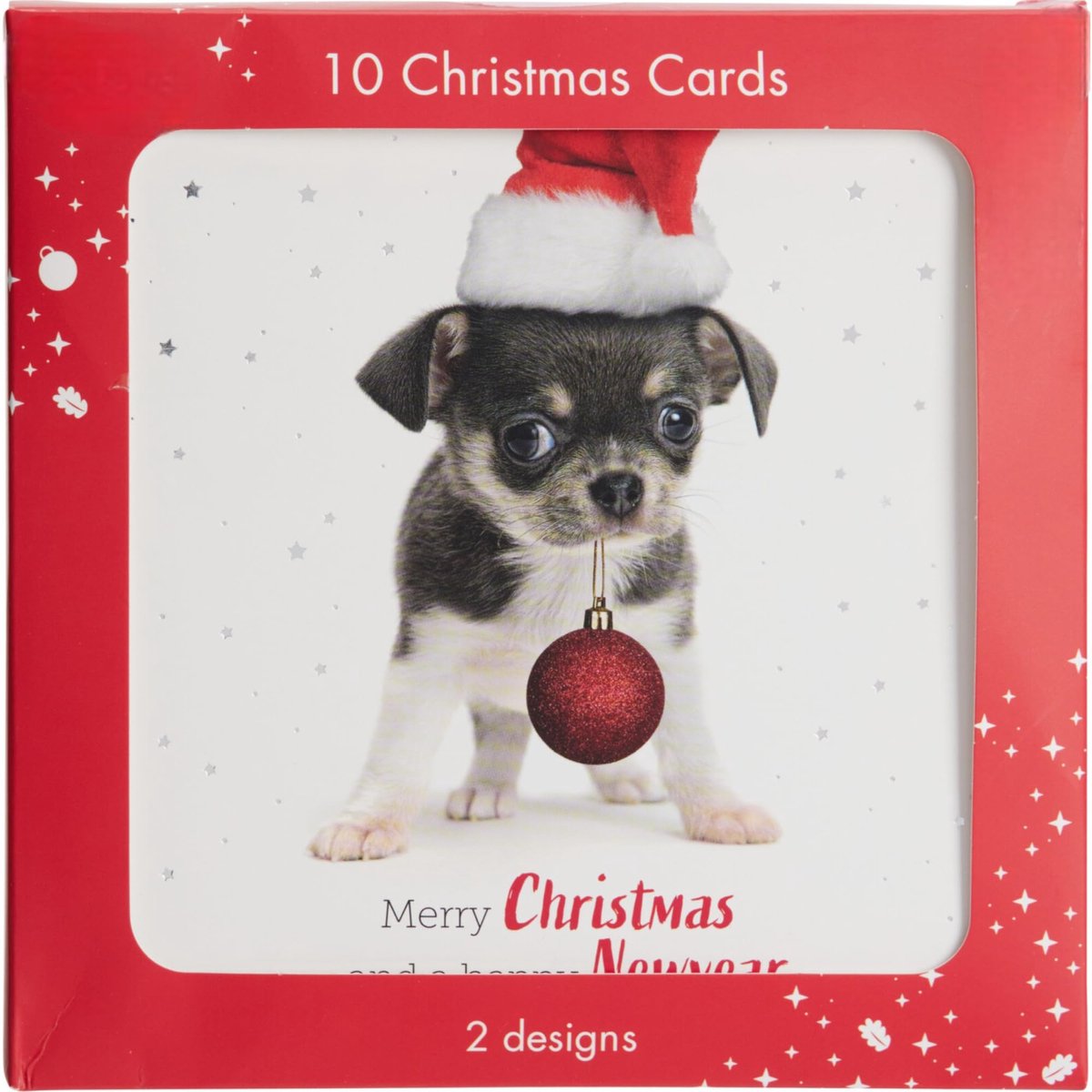 Dailygoods- Kerstkaarten Set 10 Stuks - 2 Ontwerpen - 14x14 cm Vouwbare Kaarten - Blanco Binnenkant - Feestelijke Wenskaarten - Liefdevol Ontworpen