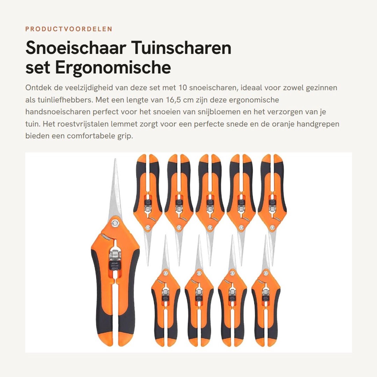 Dailygoods- Snoeischaar 10 Stuks - Bloemenschaar - Handsnoeischaar - Ergonomische Handgrepen - Roestvrij Staal - 16,5 cm - Tuinschaar