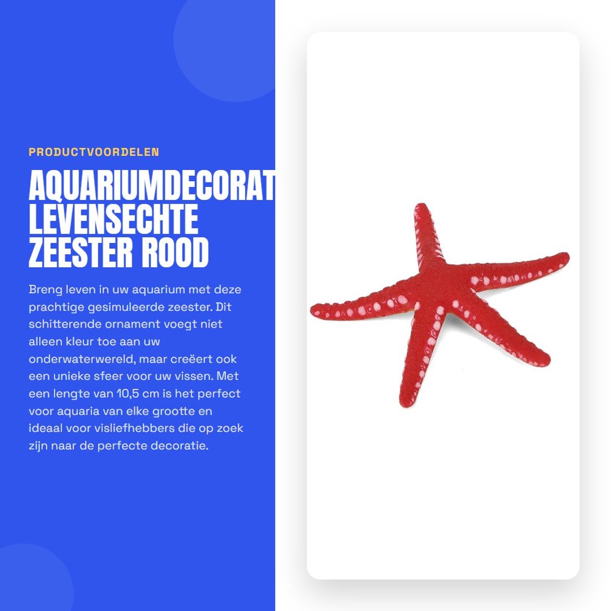 Dailygoods- Zeesterornament Levensecht - Aquariumdecor - Simulatie Zeester - Plastic Ornament - Rood - Lengte 10,5 cm - Aquariumdecoratie