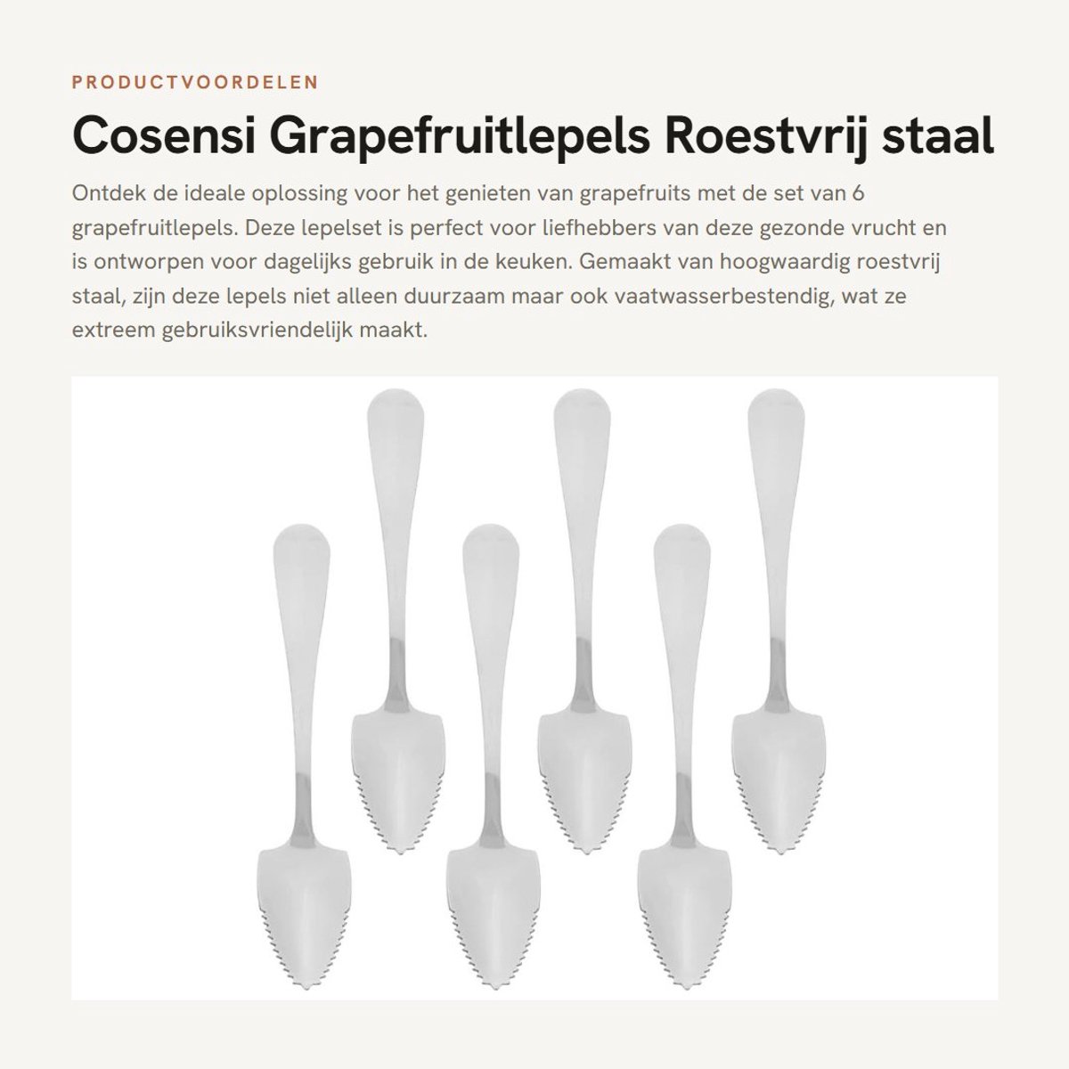 Dailygoods- Grapefruitlepels 6 Stuks - Roestvrij Staal - Kooklepels - Keukengerei - Antislip Handvat - Lichtgewicht Design - Lepels