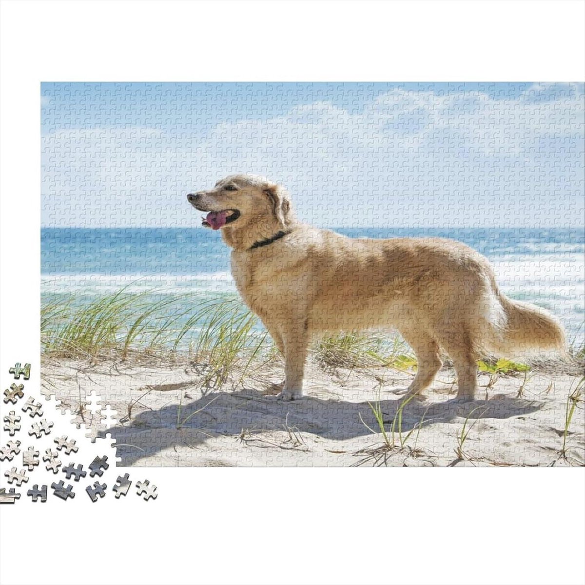 Fotopuzzel 1000 Stukjes - Legpuzzel Volwassenen - Ontspanning en Plezier - Unieke Vormen - 75 x 50 cm - Meerdere Kleuren