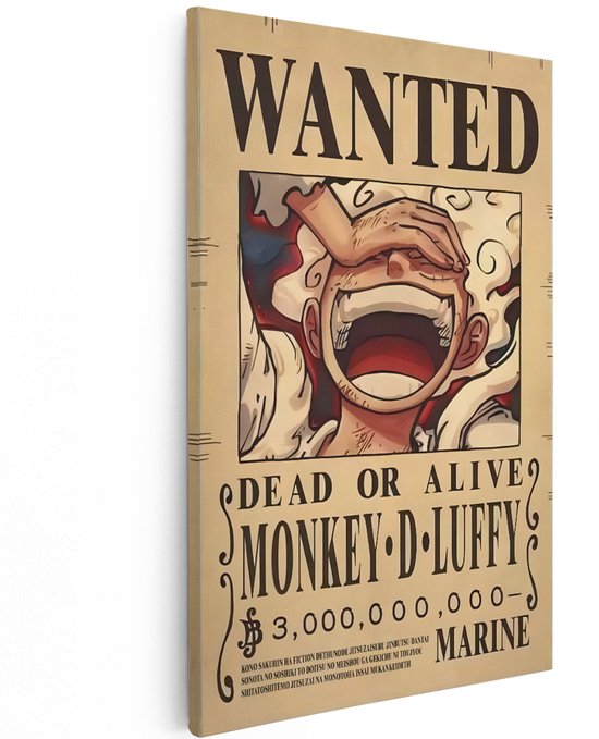 Une affiche "WANTED" de Monkey D. Luffy avec une prime de 3 000 000 000 $.