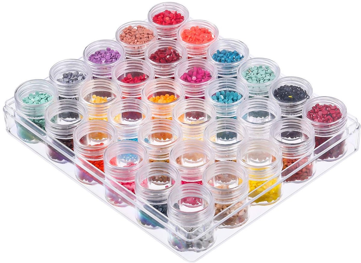 Dailygoods - Parelopbergcontainer - Transparante Organizer - 30 Stuks - Kunststof Doos met Deksel - Voor Ringen Oorbellen en Halskettingen - Ideaal vo