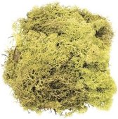 Decoratie mos lichtgroen 80 gram