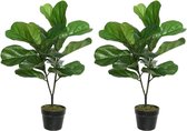 2x Groene Ficus carica/vijgenboom kunstplanten 71 cm in zwarte pot - Kunstplanten/nepplanten - Vijgenbomen