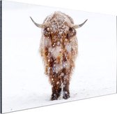 Highland in the snow Aluminium 120x80 cm - Tirage photo sur aluminium (décoration murale en métal)